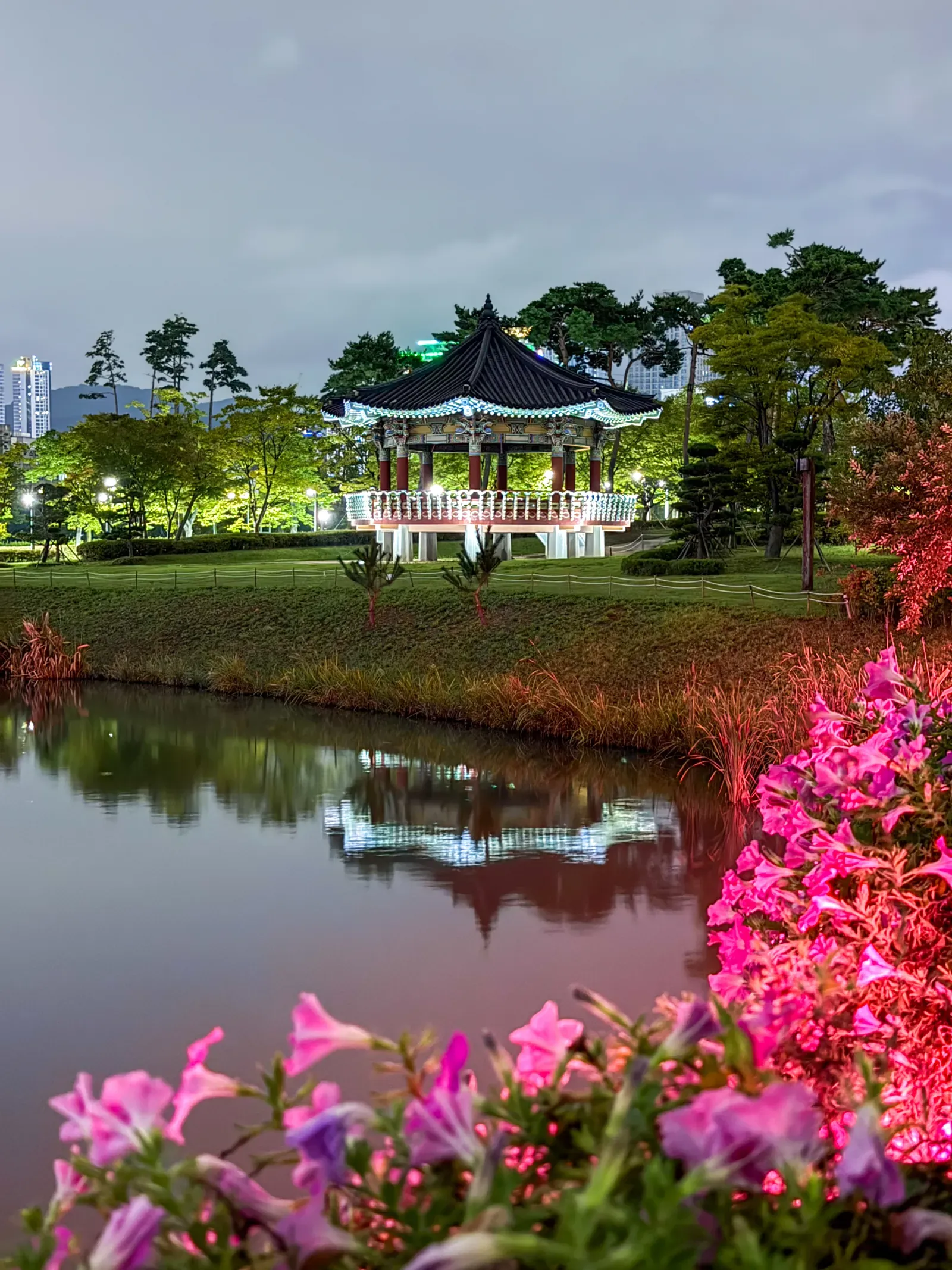 A pavilion over a pond in Busan, azaleas in front, at blue hour