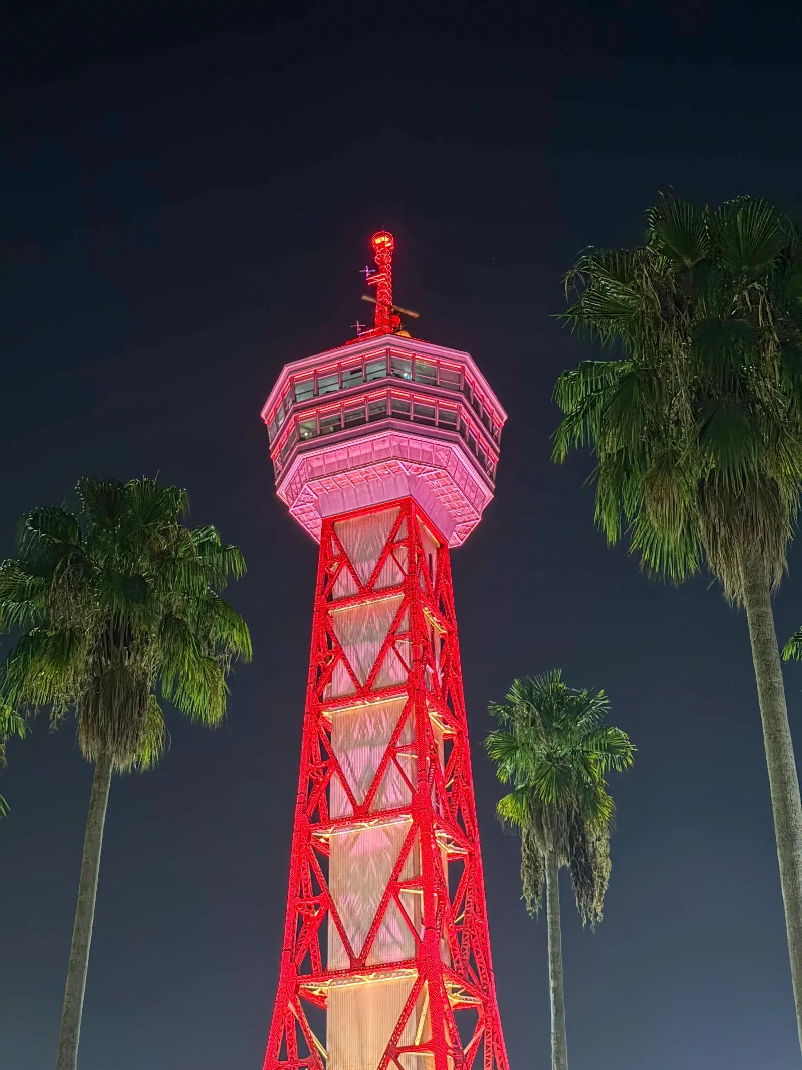 Fukuoka Tower lit pink at night, palm trees in front of it